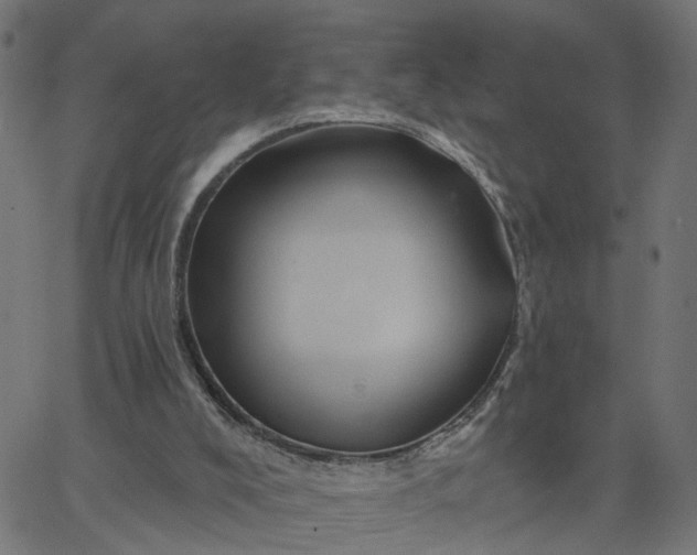 X0000067880008200604271813