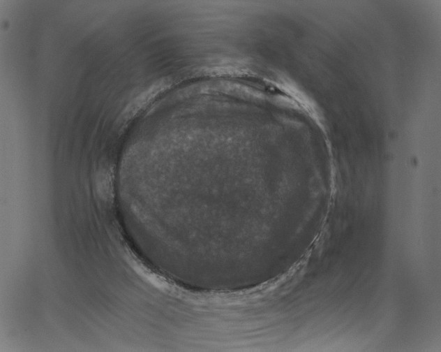 X0000067880009200604271813