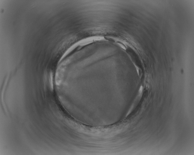 X0000067880022200604271812