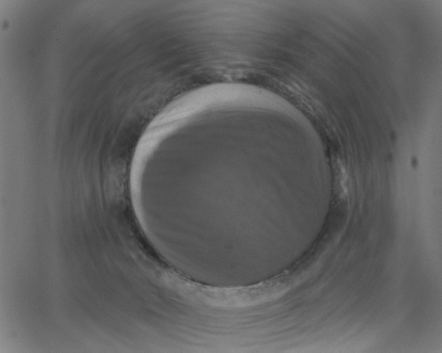 X0000067880030200604271812