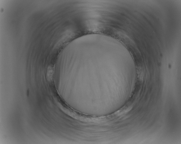 X0000067880036200604271812