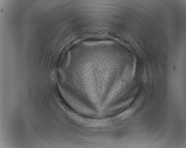 X0000067880044200604271812