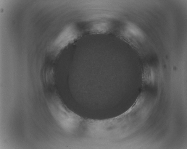 X0000067880045200604271812