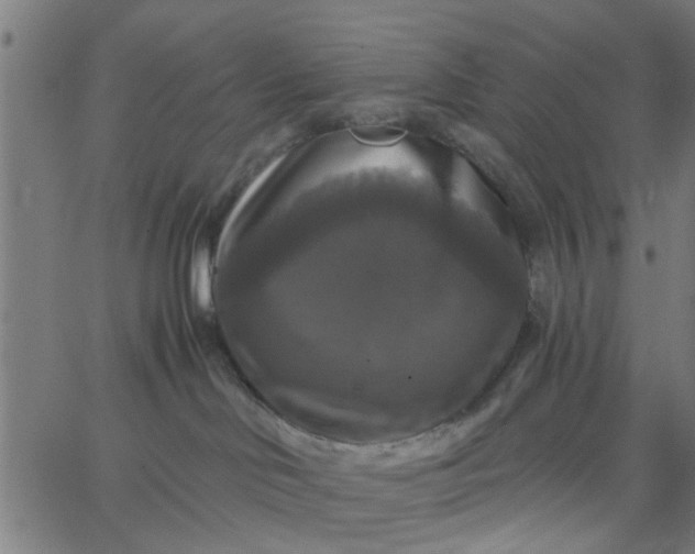X0000067880046200604271812