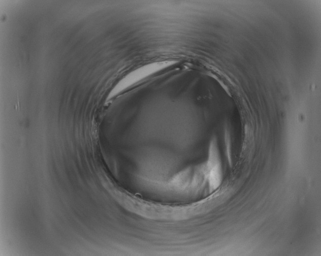 X0000067880048200604271812