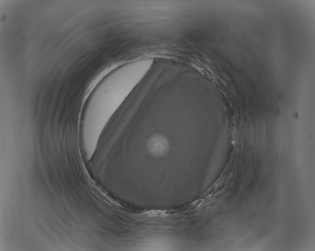 X0000067880052200604271811