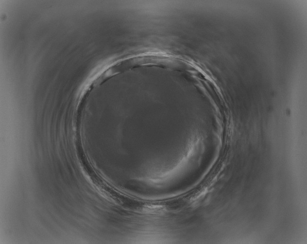 X0000067880055200604271811