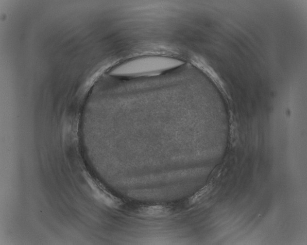 X0000067880058200604271811