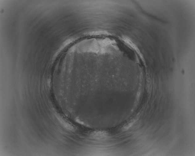 X0000067880063200604271811