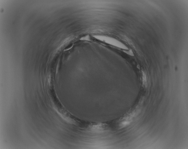 X0000067880072200604271812
