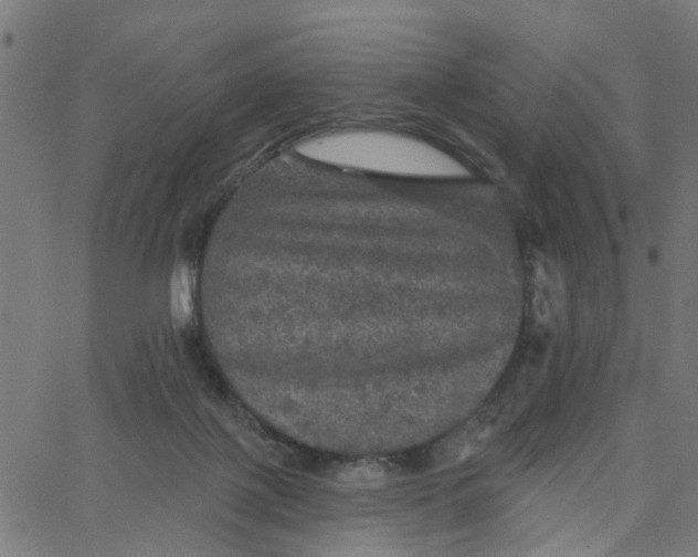 X0000067880075200604271812