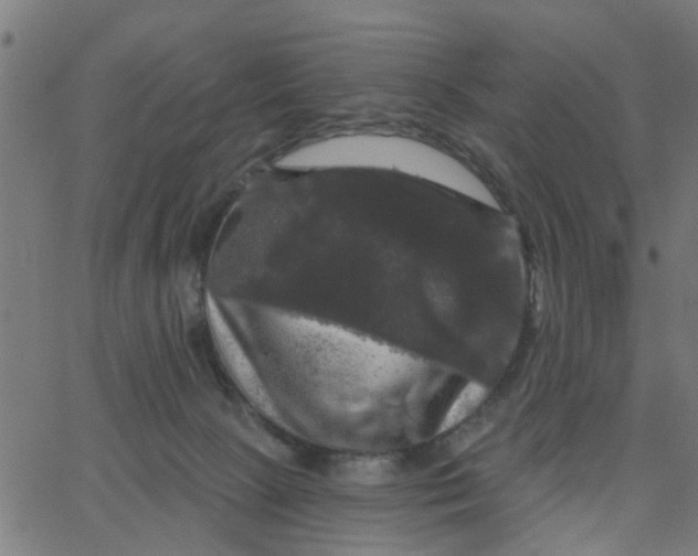 X0000067880081200604271812