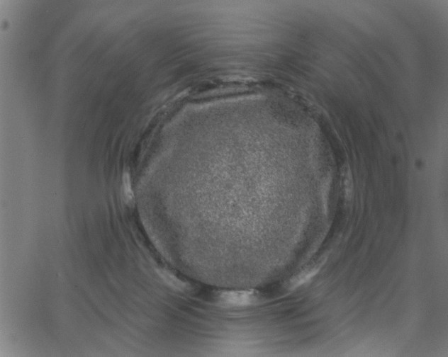 X0000067880089200604271812