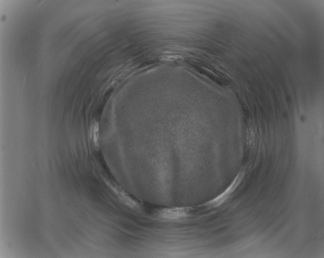 X0000067880094200604271812