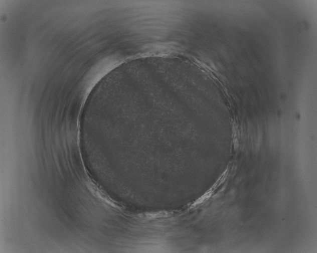X0000067880100200604271811