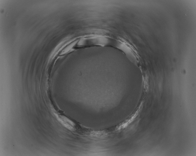 X0000067880101200604271811