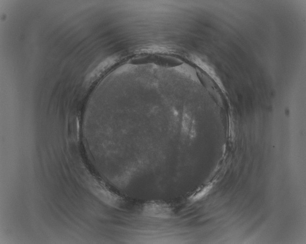 X0000067880109200604271811