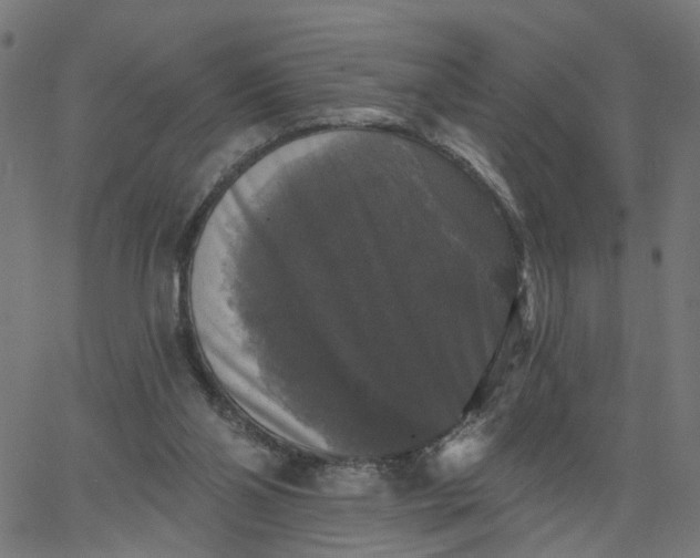 X0000067880110200604271811
