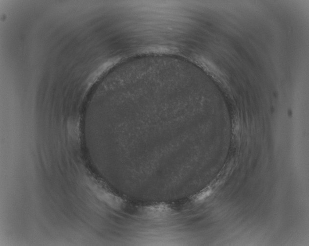 X0000067880112200604271811