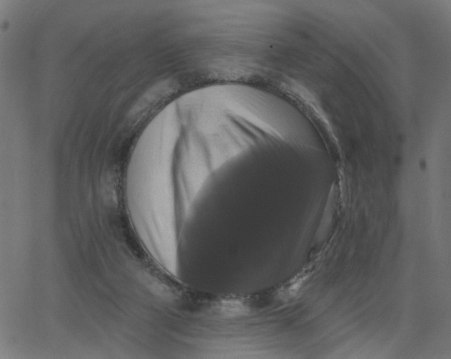 X0000067880114200604271811