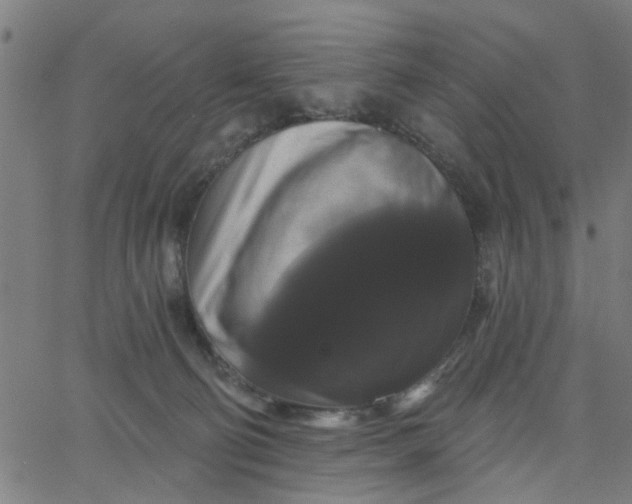 X0000067880130200604271811