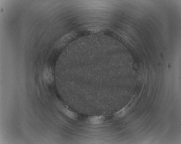X0000067880136200604271811