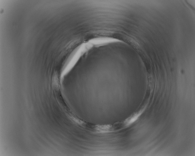 X0000067880143200604271810