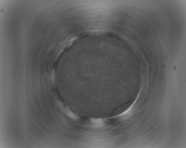 X0000067880144200604271810
