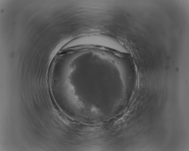 X0000067880147200604271810