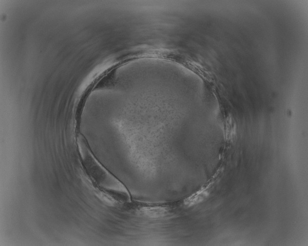 X0000067880150200604271810