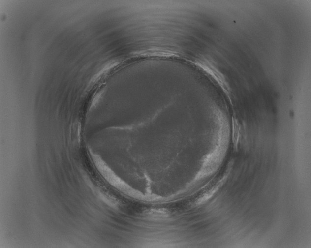 X0000067880157200604271810