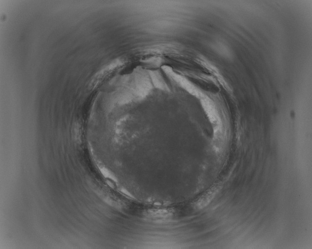 X0000067880161200604271810