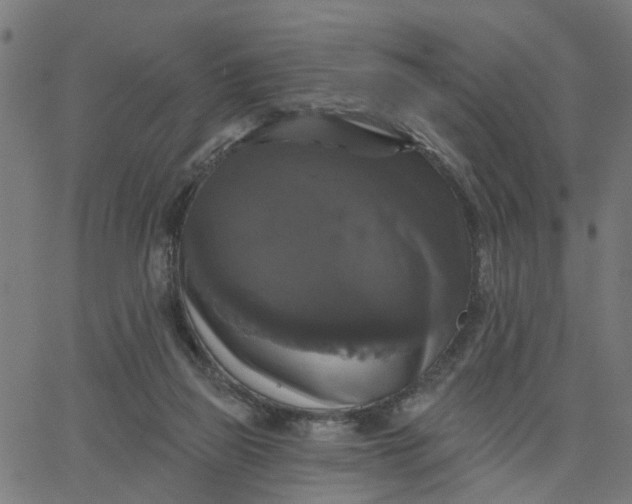 X0000067880165200604271810