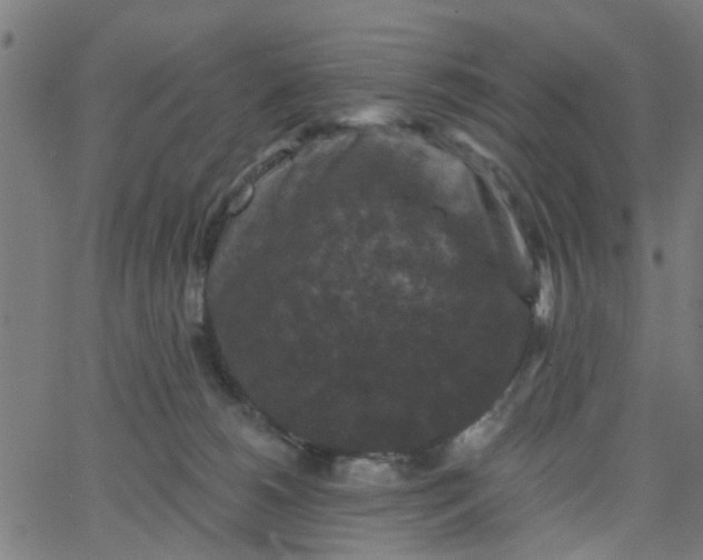 X0000067880180200604271810