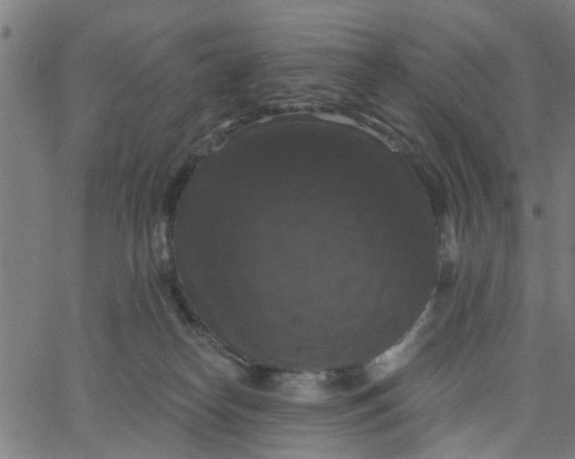 X0000067880182200604271810