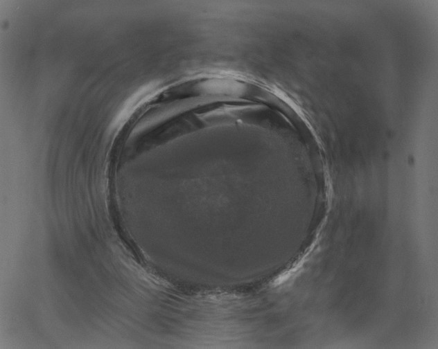 X0000067880199200604271809