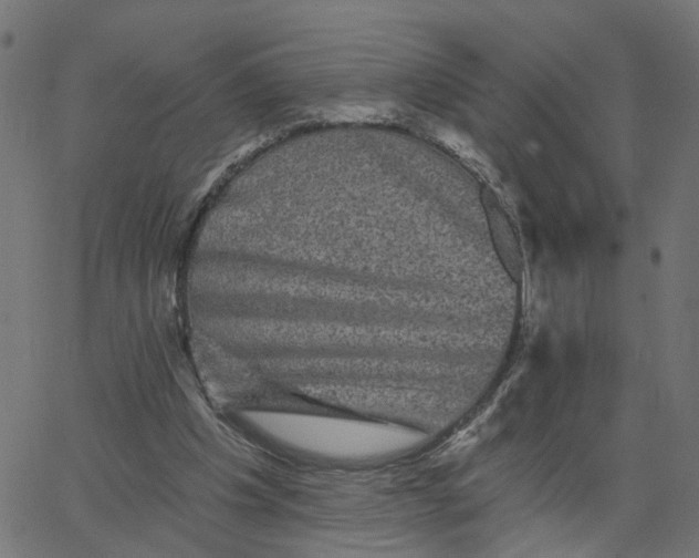 X0000067880201200604271809