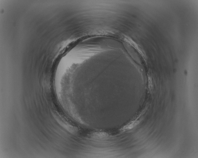 X0000067880203200604271809