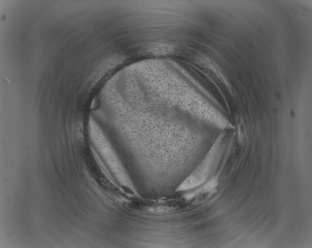 X0000067880212200604271809