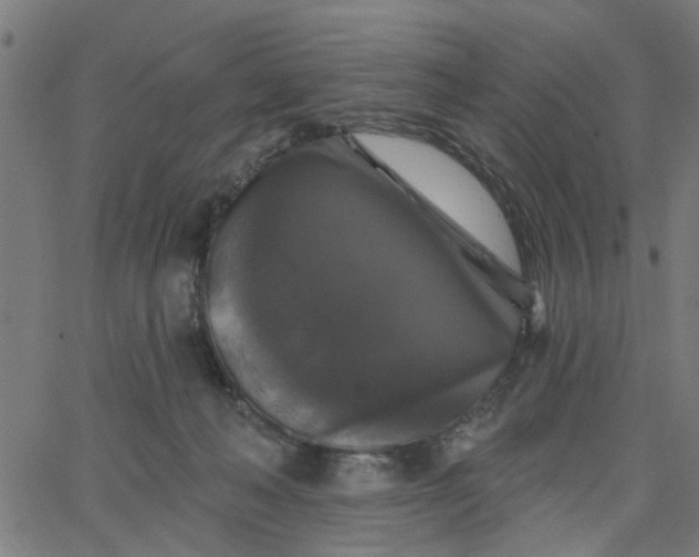 X0000067880222200604271809