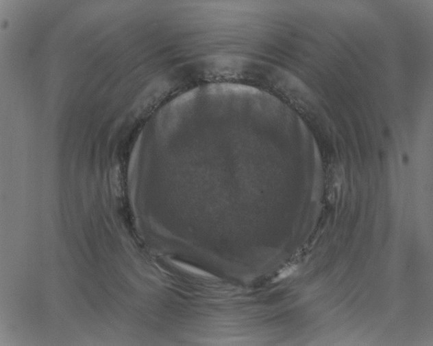 X0000067880224200604271809