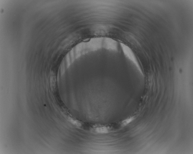 X0000067880228200604271809