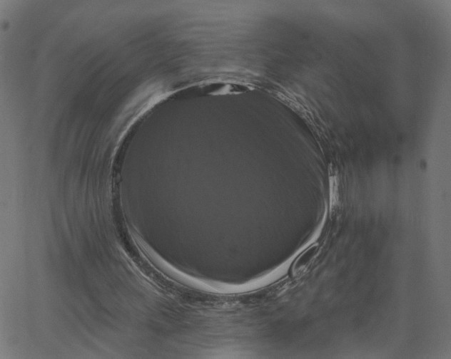 X0000067880243200604271808