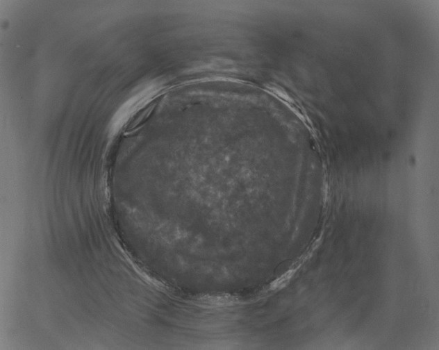 X0000067880245200604271808