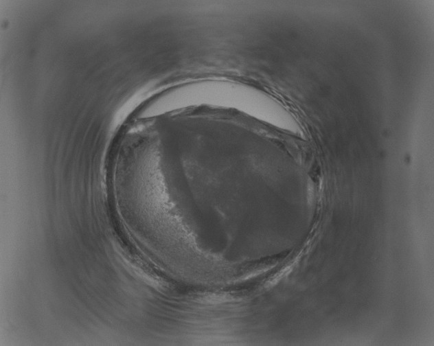 X0000067880246200604271808