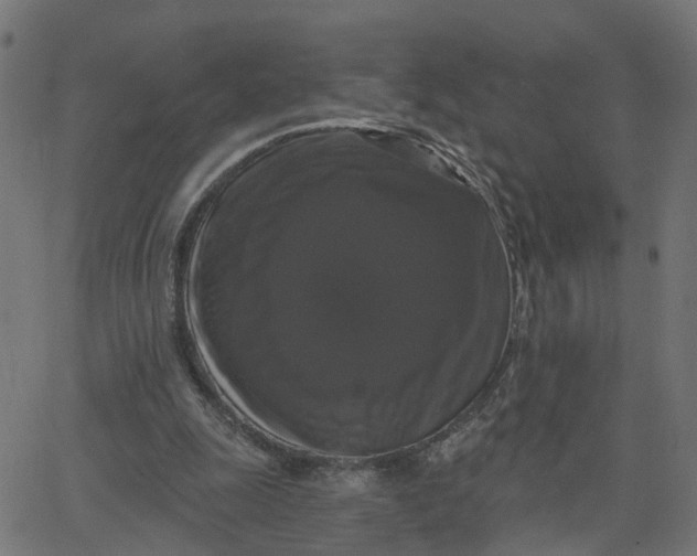 X0000067880247200604271808