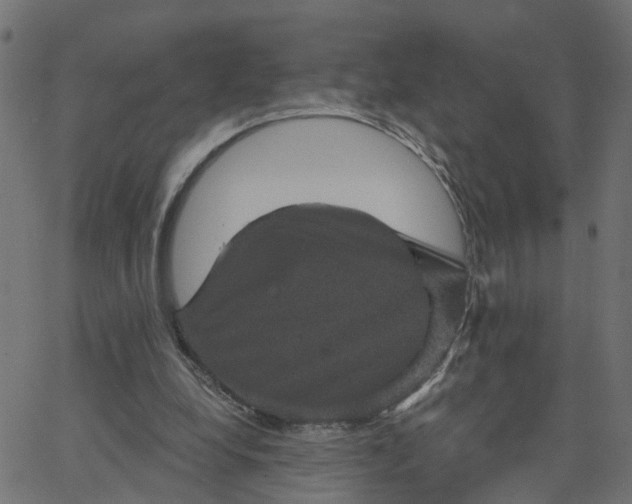 X0000067880248200604271808