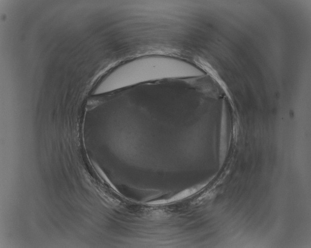 X0000067880249200604271808
