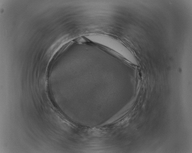 X0000067880290200604271808