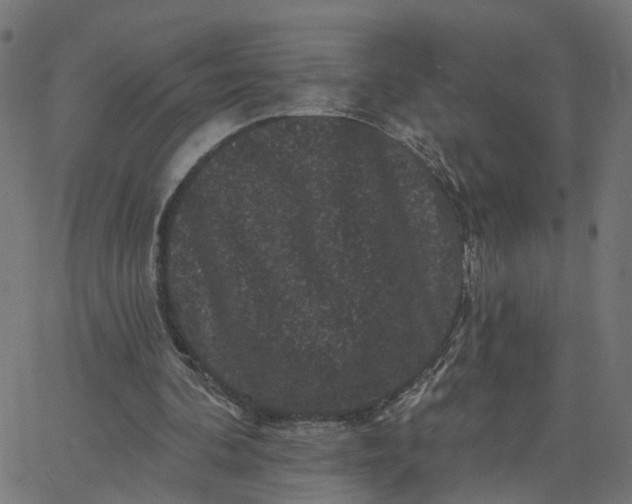 X0000067880292200604271808